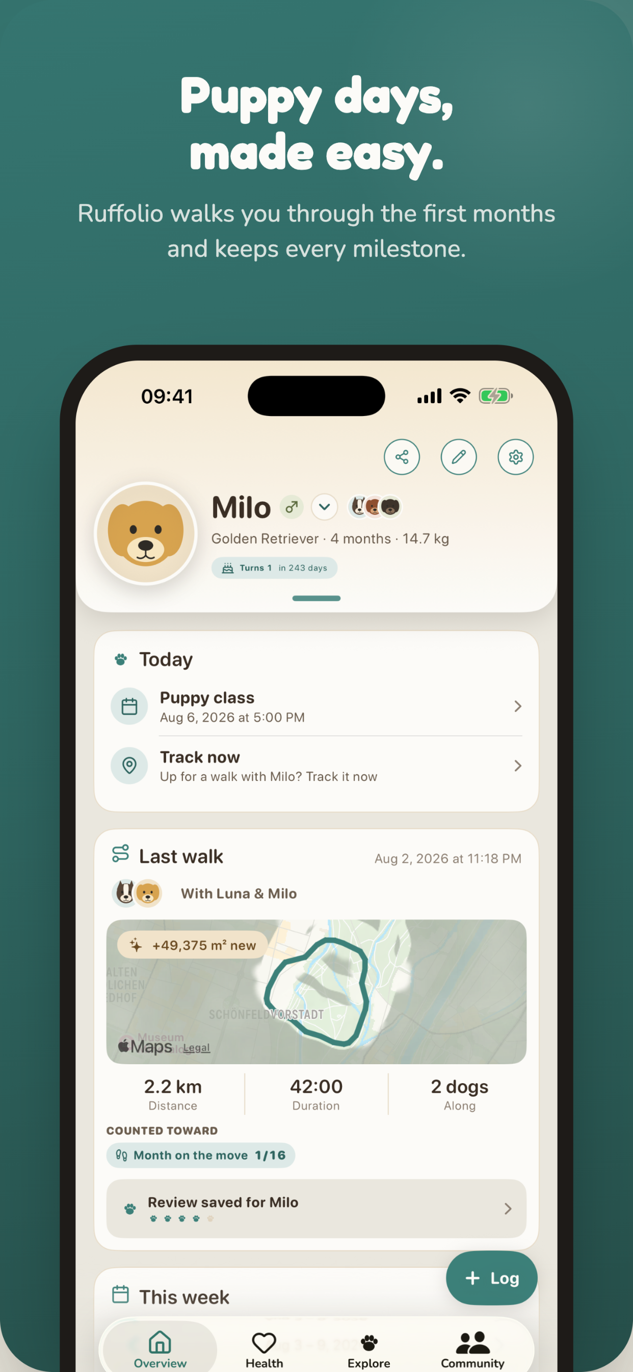 Through puppyhood together – Overview with milestones and the latest walk